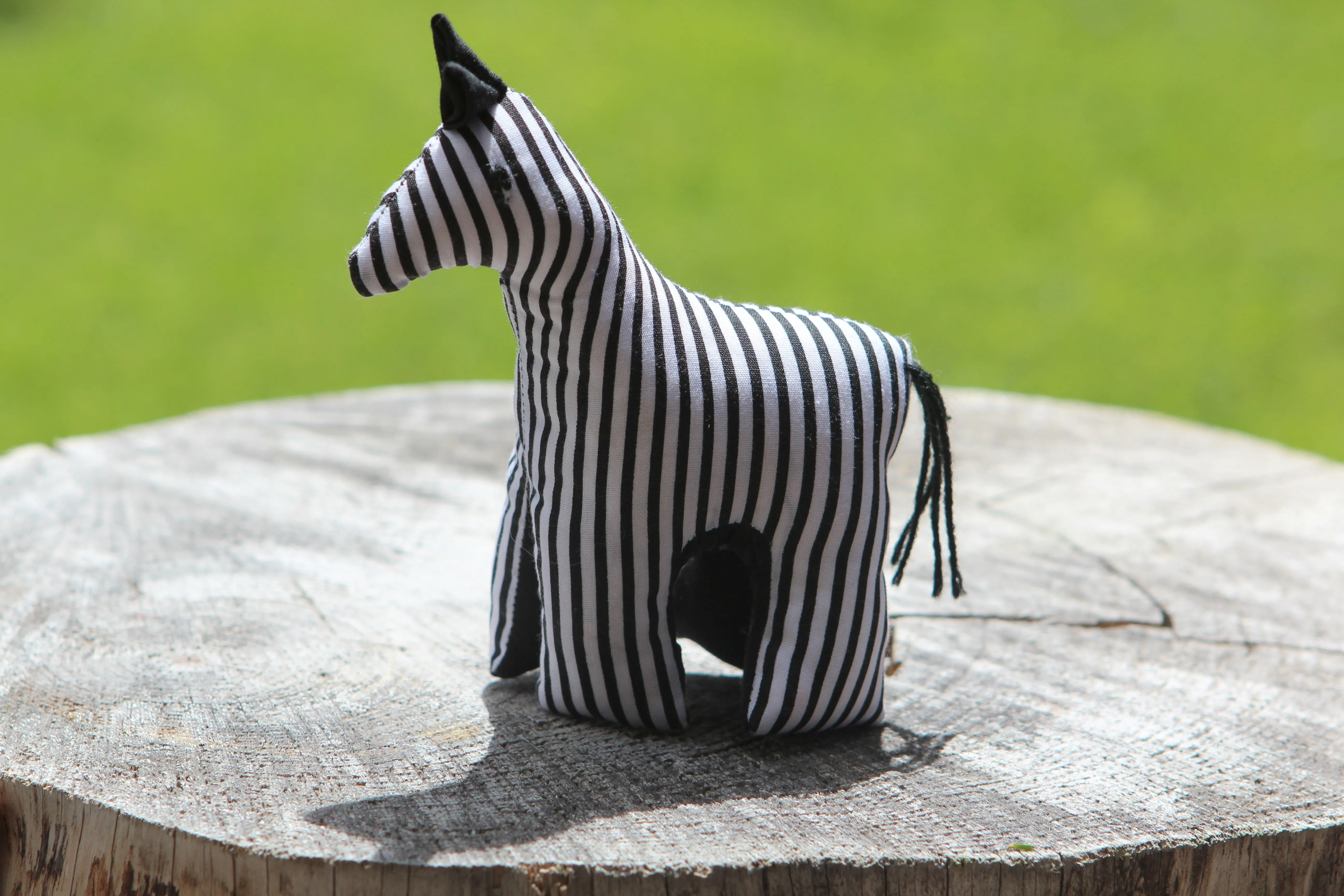 African Animal - Striped Zebra