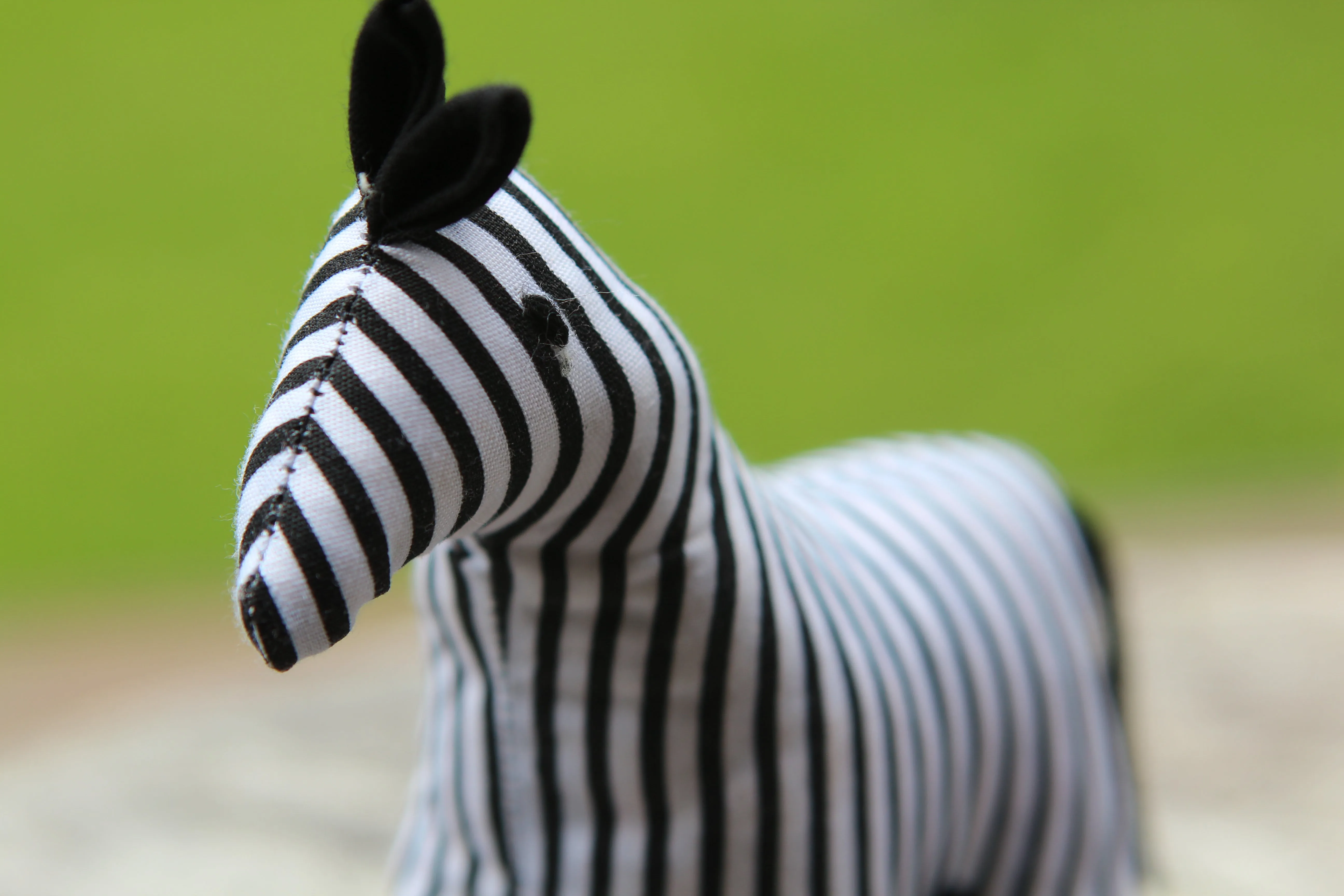 African Animal - Striped Zebra
