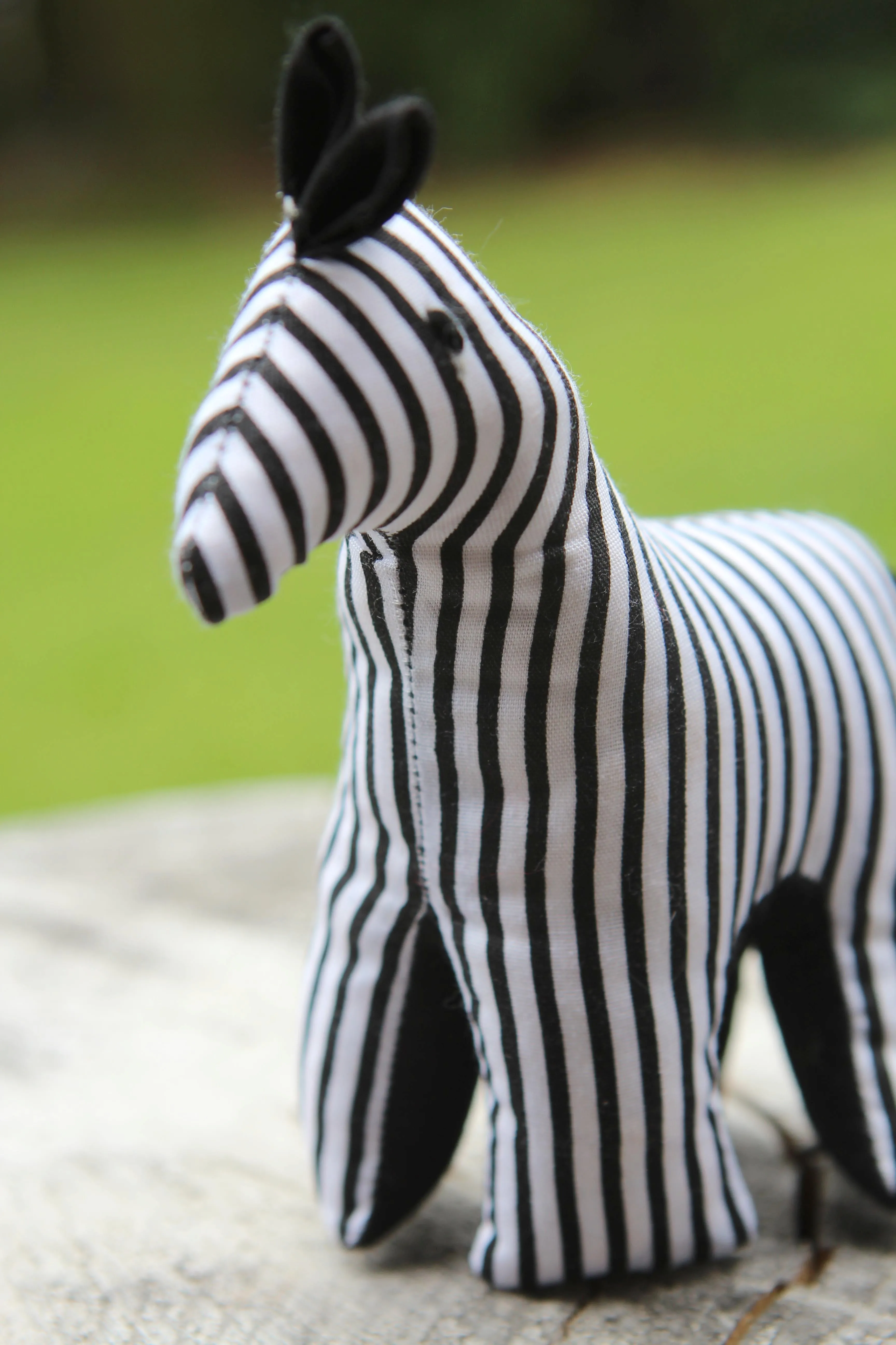 African Animal - Striped Zebra