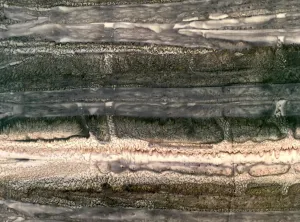 Basic 537 Batik