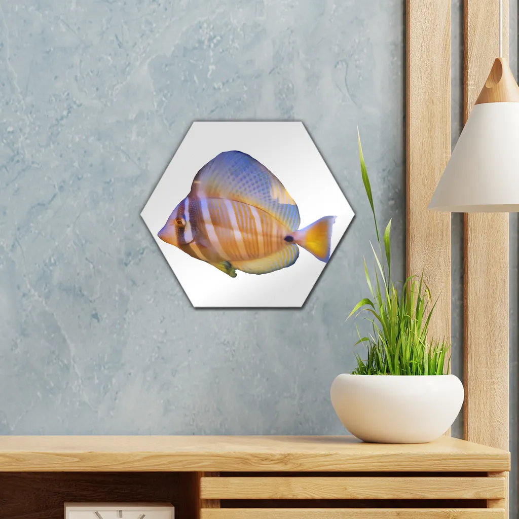Beautiful Colored Fish Wall Tile