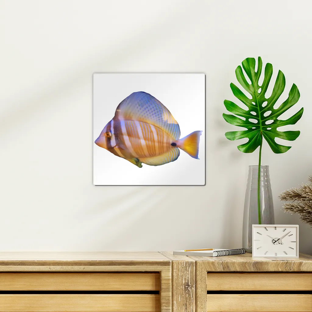Beautiful Colored Fish Wall Tile