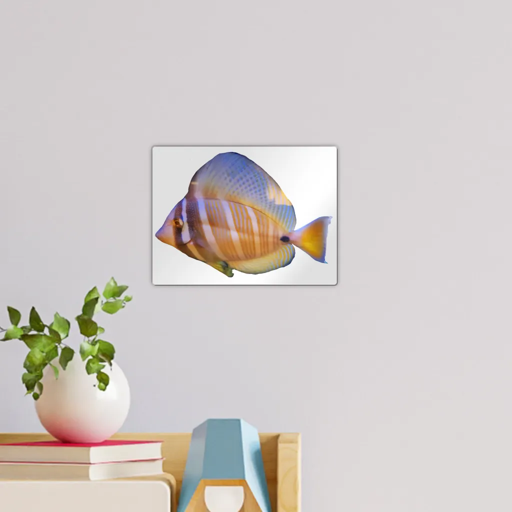 Beautiful Colored Fish Wall Tile