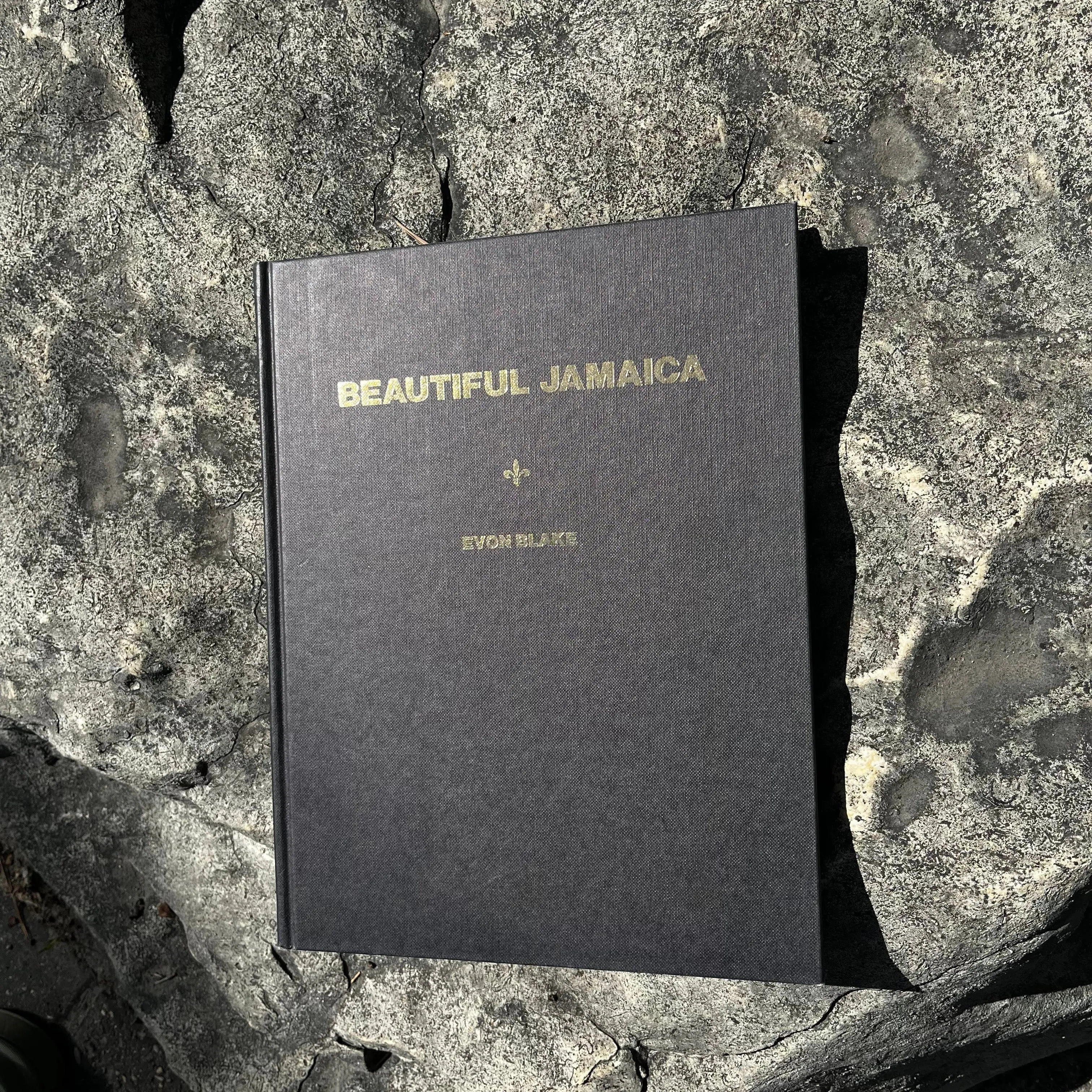 Beautiful Jamaica by Evon Blake