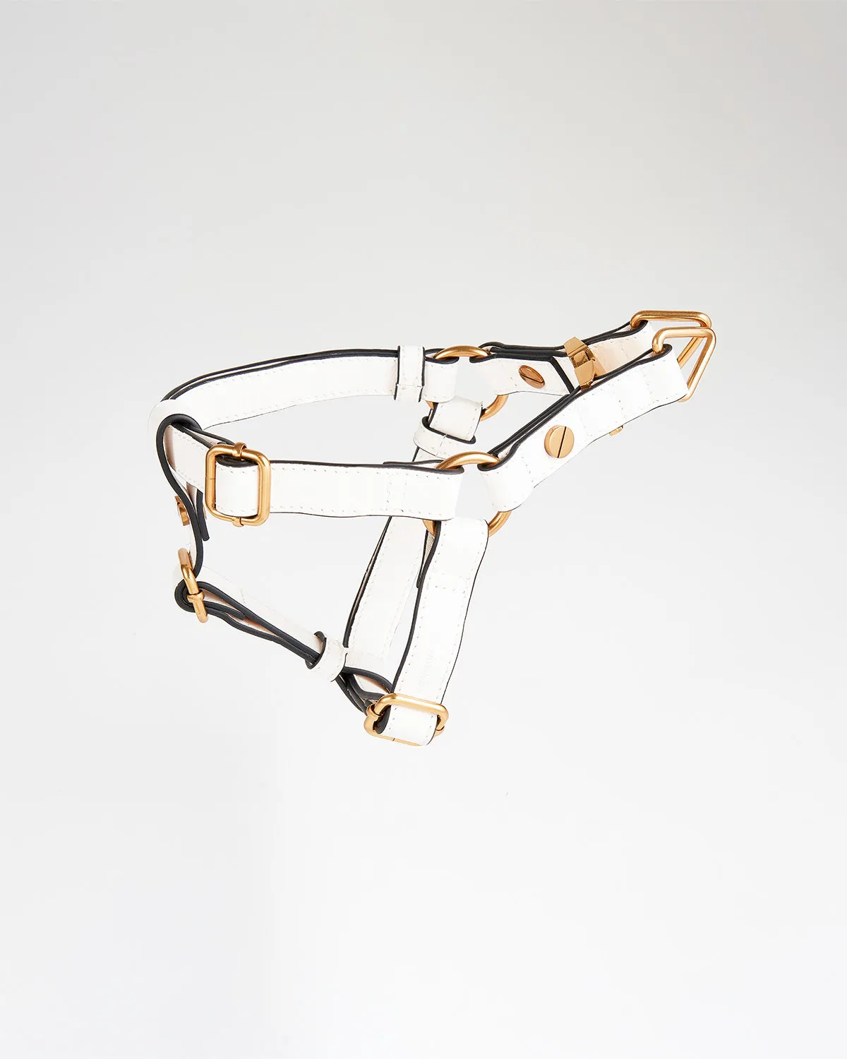 Classique Harnais Pour Chien