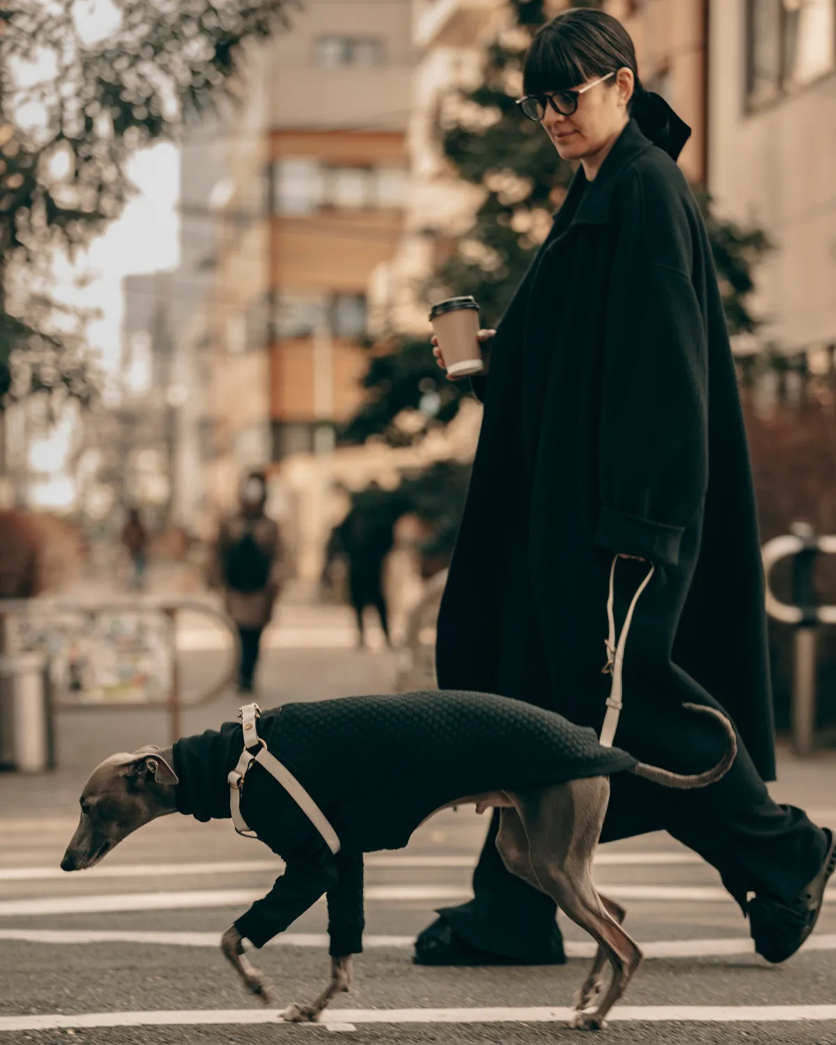 Classique Harnais Pour Chien