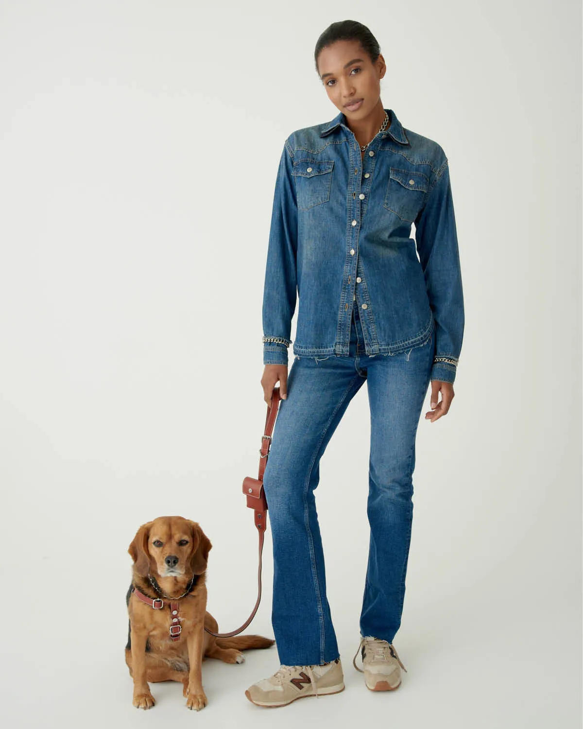 Classique Harnais Pour Chien
