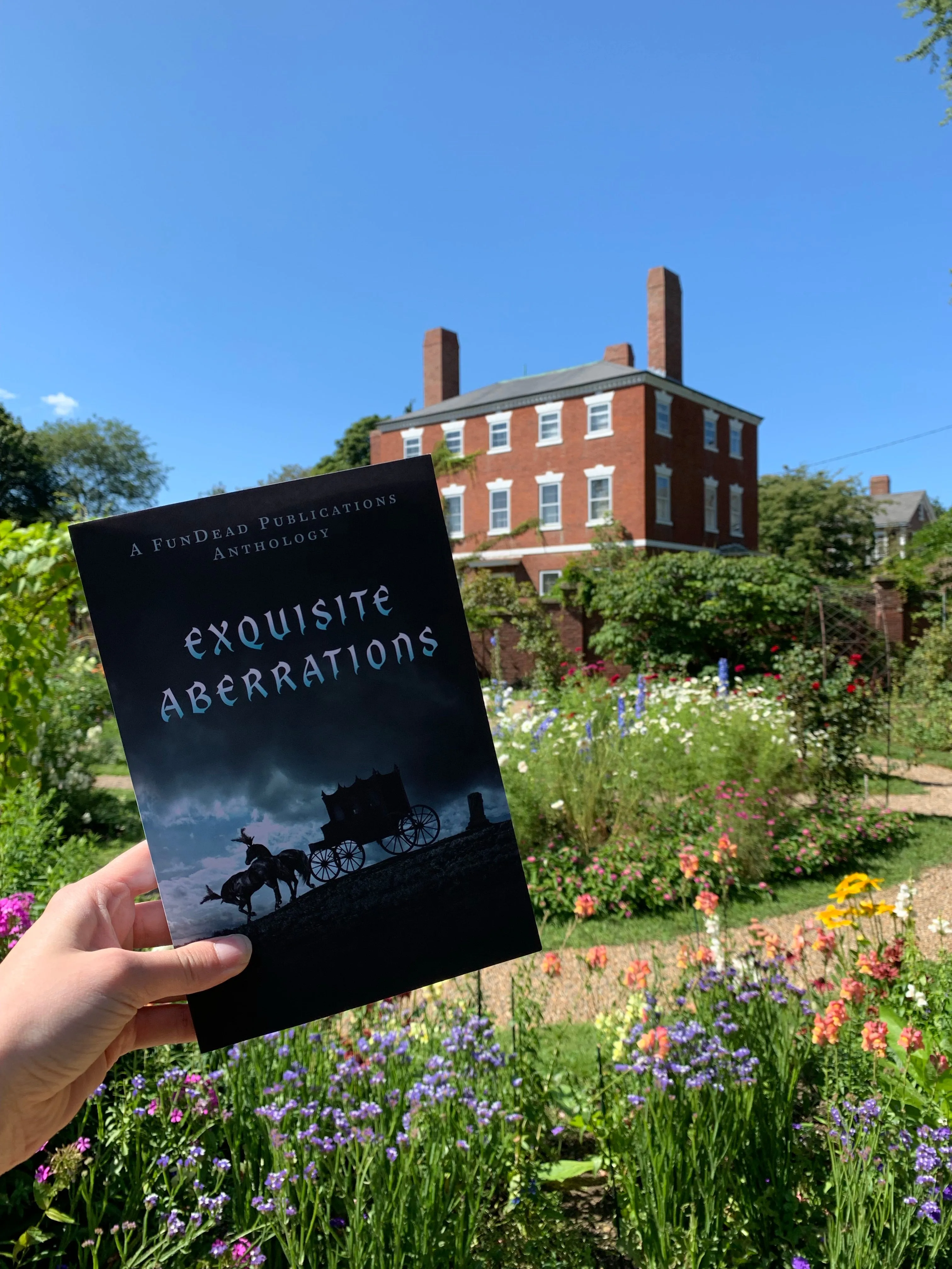Exquisite Aberrations Limited Edition Hardcover