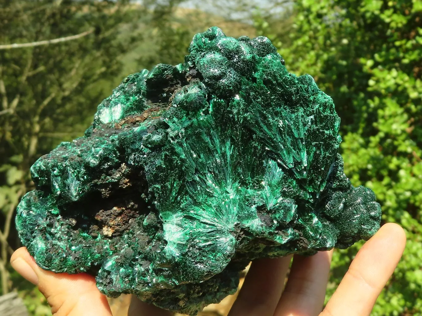 Natural Chatoyant Silky Malachite Specimen  x 1 From Congo