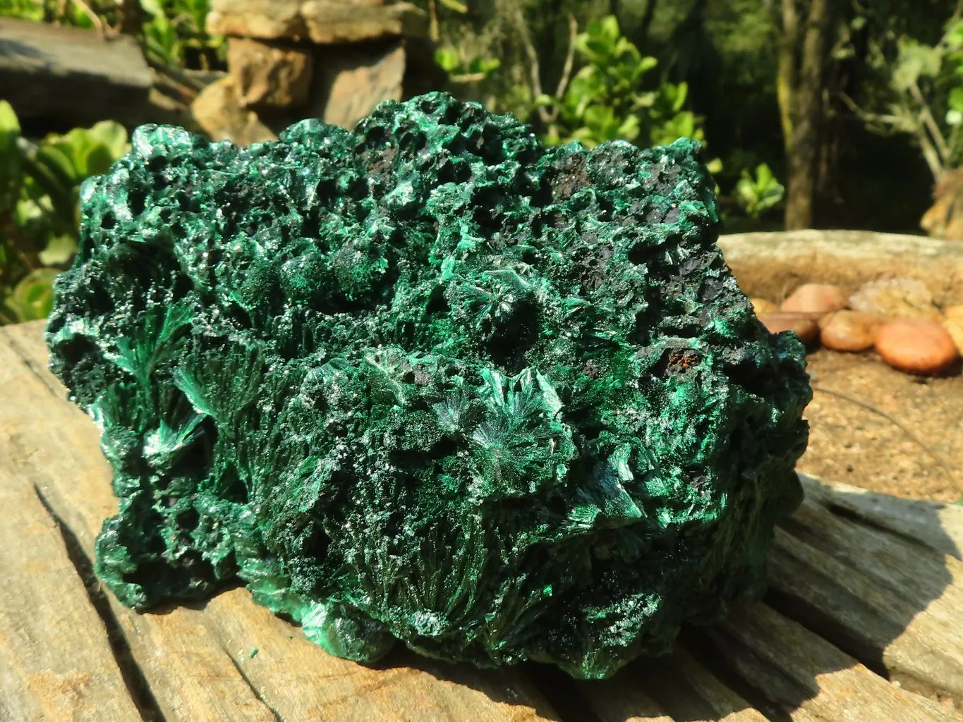 Natural Chatoyant Silky Malachite Specimen  x 1 From Congo