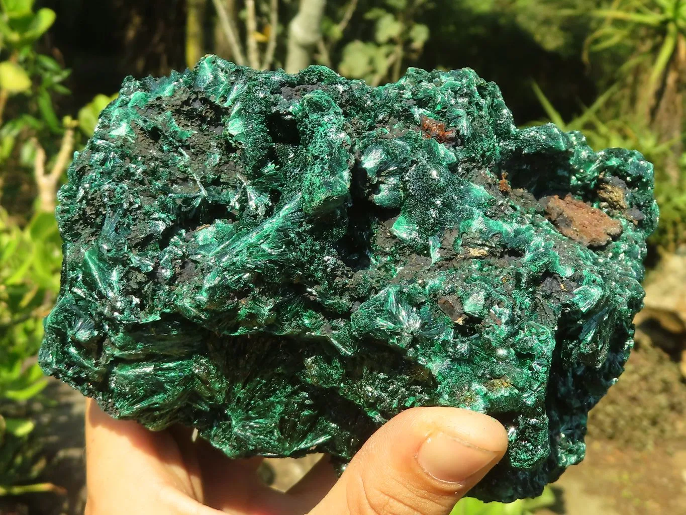 Natural Chatoyant Silky Malachite Specimen  x 1 From Congo