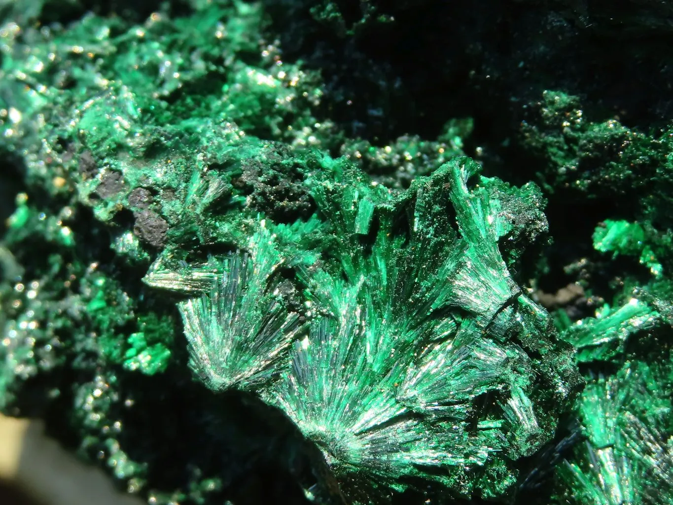 Natural Chatoyant Silky Malachite Specimen  x 1 From Congo