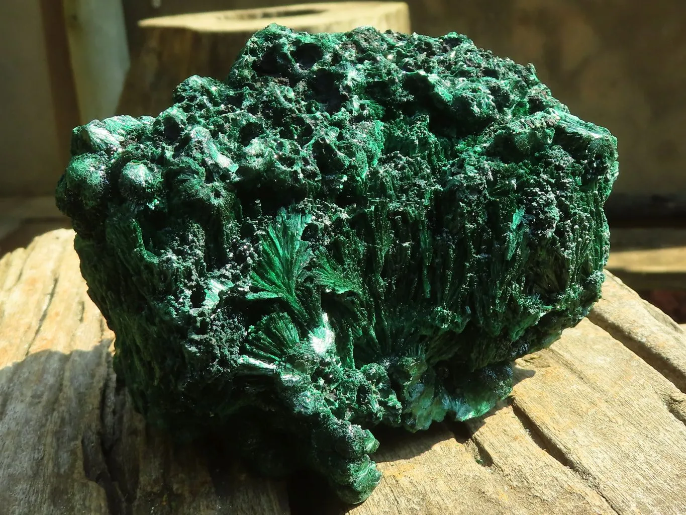 Natural Chatoyant Silky Malachite Specimen  x 1 From Congo