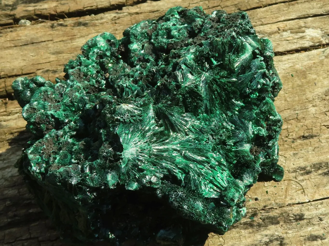 Natural Chatoyant Silky Malachite Specimen  x 1 From Congo