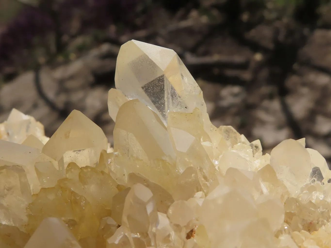 Natural Extra Large Clear Quartz Cluster With Limonite Colouring  x 1 From Madagascar