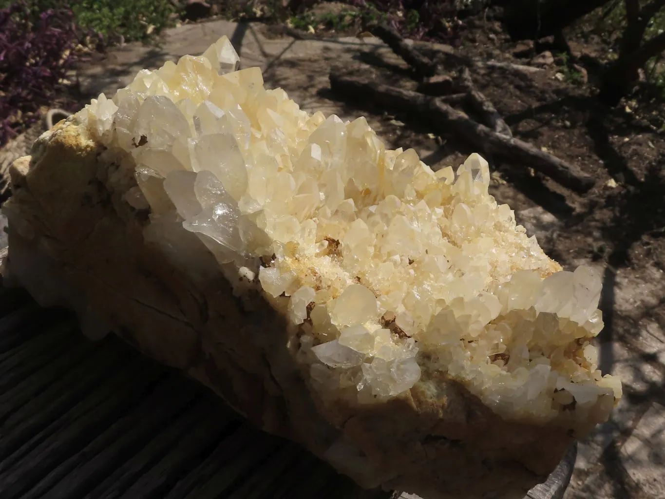 Natural Extra Large Clear Quartz Cluster With Limonite Colouring  x 1 From Madagascar