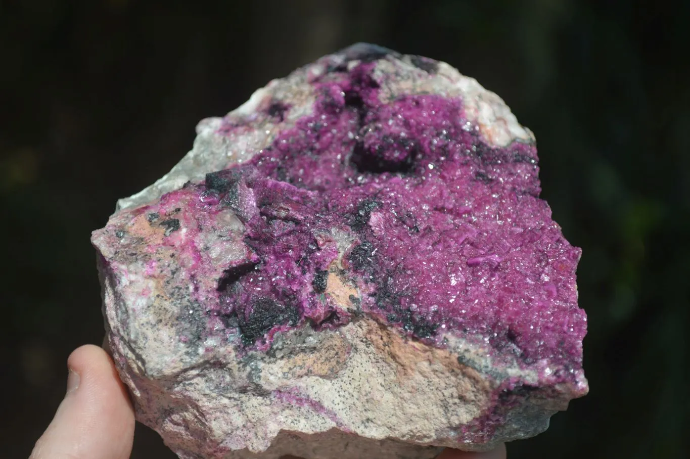 Natural Salrose Cobaltion Dolomite Specimens x 1 From Kakanda, Congo