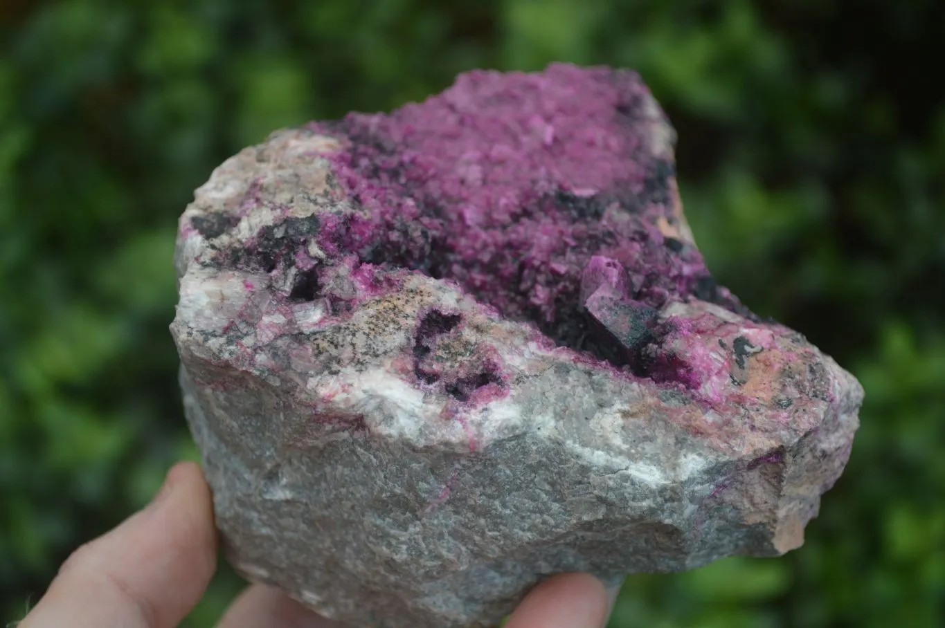 Natural Salrose Cobaltion Dolomite Specimens x 1 From Kakanda, Congo