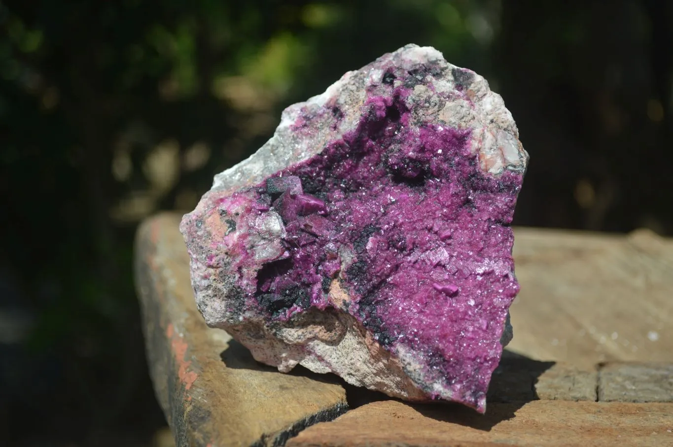 Natural Salrose Cobaltion Dolomite Specimens x 1 From Kakanda, Congo