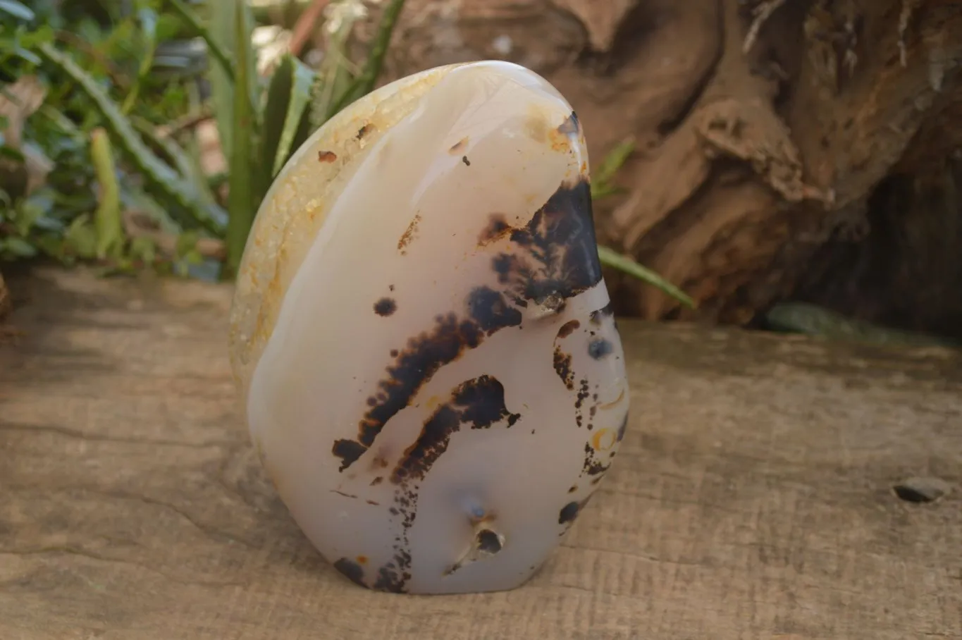 Polished Dendrite Crystalline Agate Standing Free Form x 1 From Madagascar