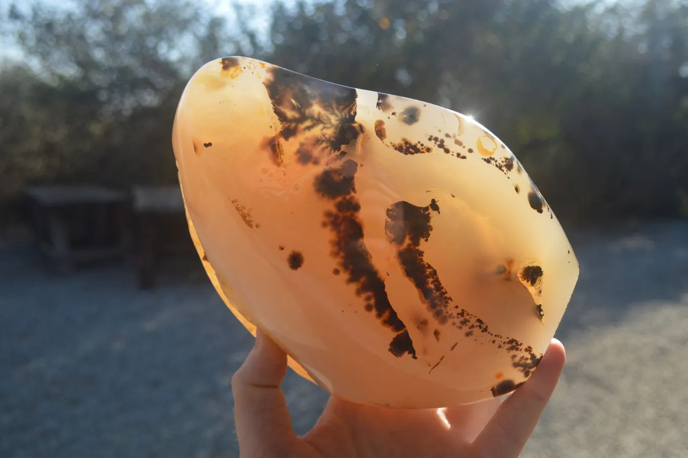 Polished Dendrite Crystalline Agate Standing Free Form x 1 From Madagascar