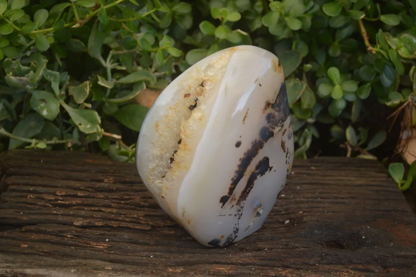 Polished Dendrite Crystalline Agate Standing Free Form x 1 From Madagascar