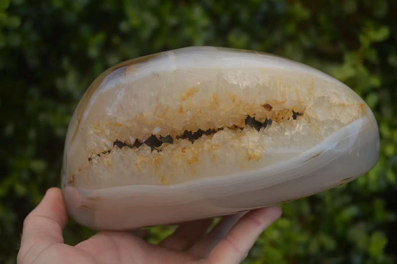Polished Dendrite Crystalline Agate Standing Free Form x 1 From Madagascar