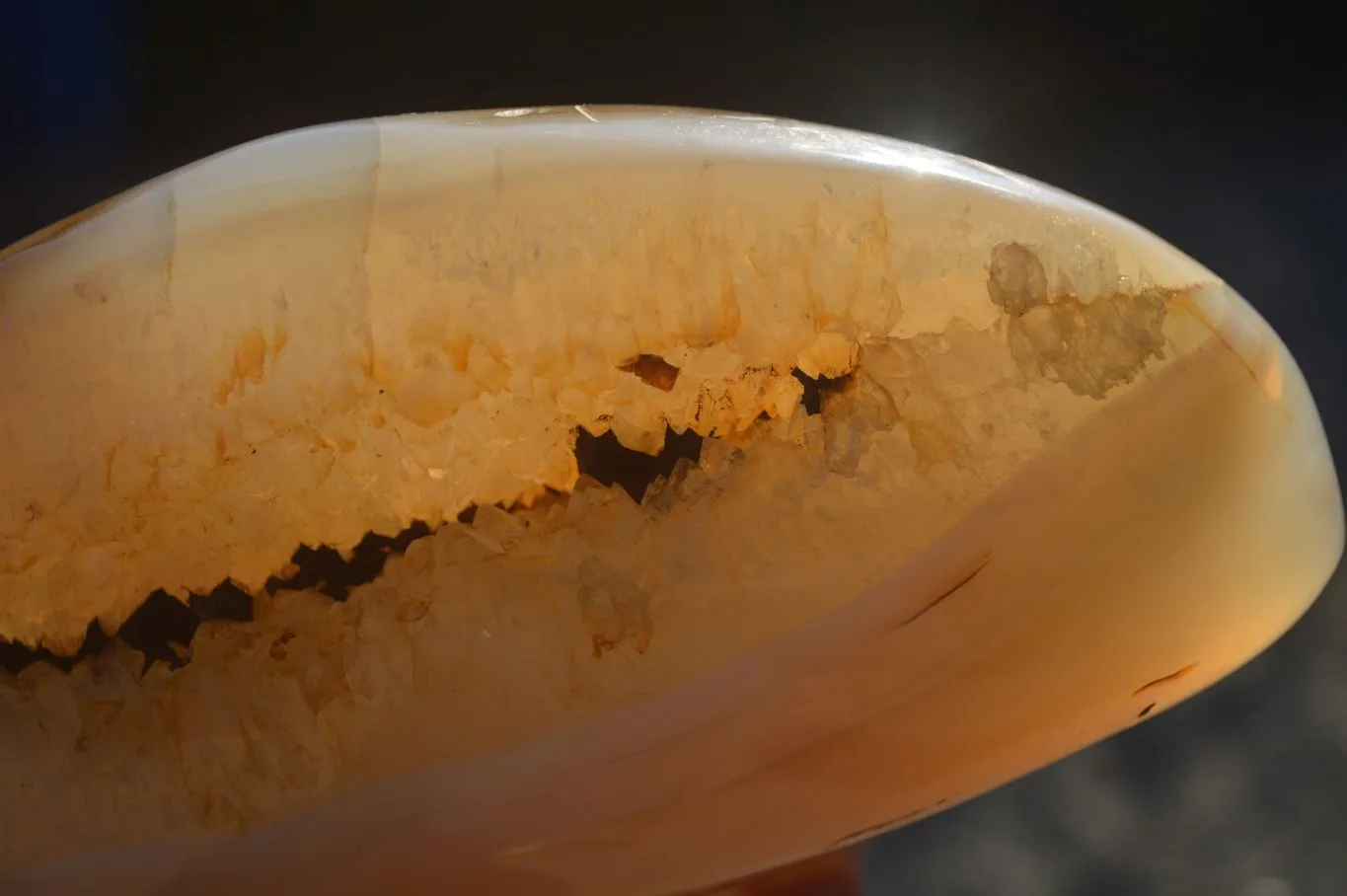 Polished Dendrite Crystalline Agate Standing Free Form x 1 From Madagascar