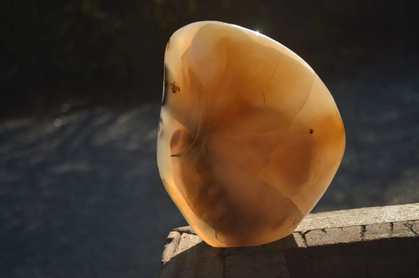 Polished Dendrite Crystalline Agate Standing Free Form x 1 From Madagascar