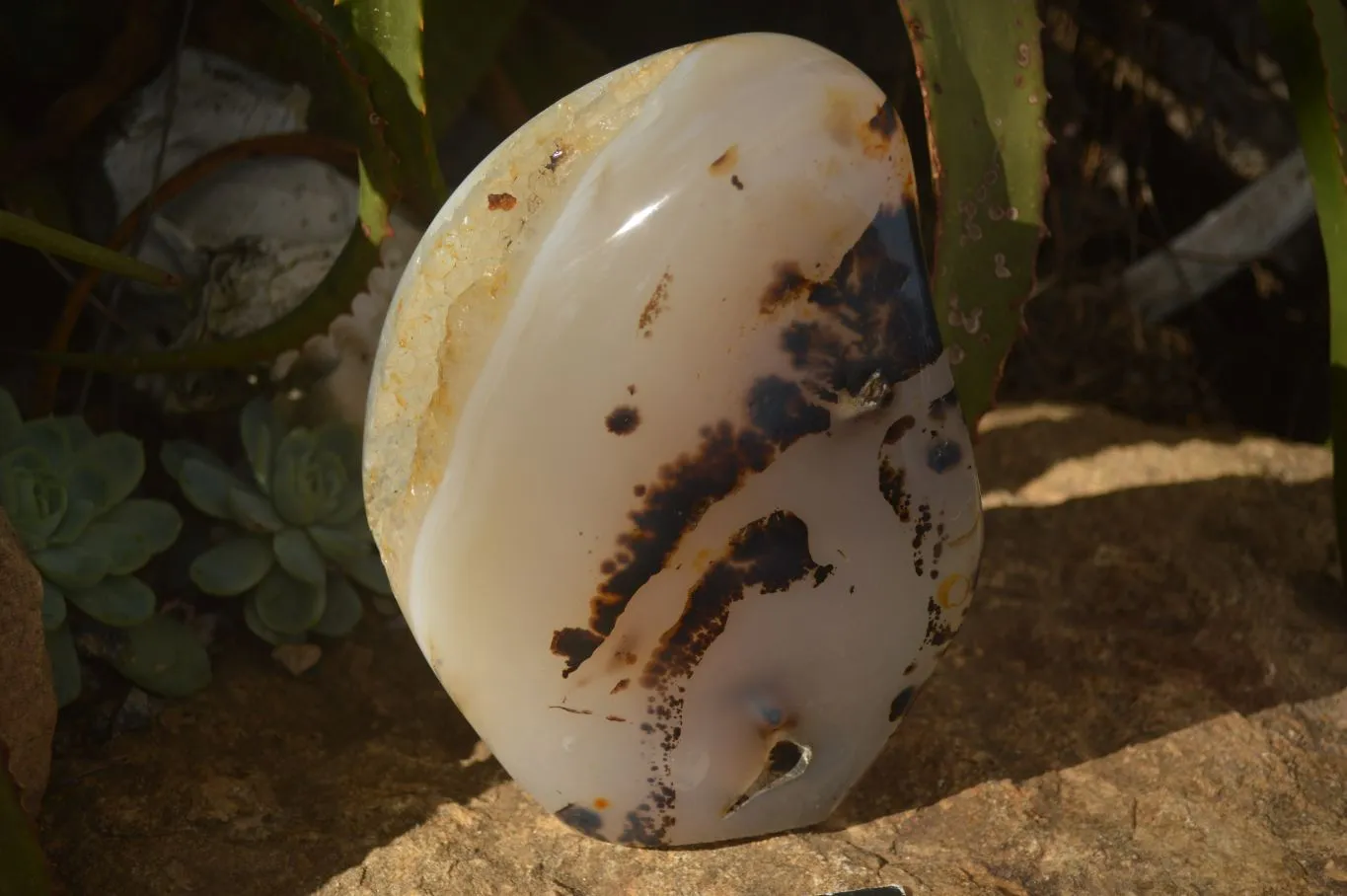 Polished Dendrite Crystalline Agate Standing Free Form x 1 From Madagascar