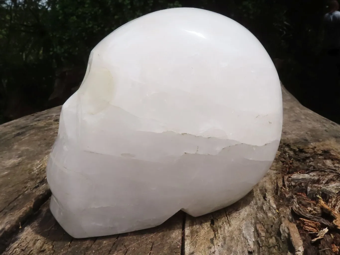 Polished Hand Carved Quartz Crystal Skull x 1 From Madagascar