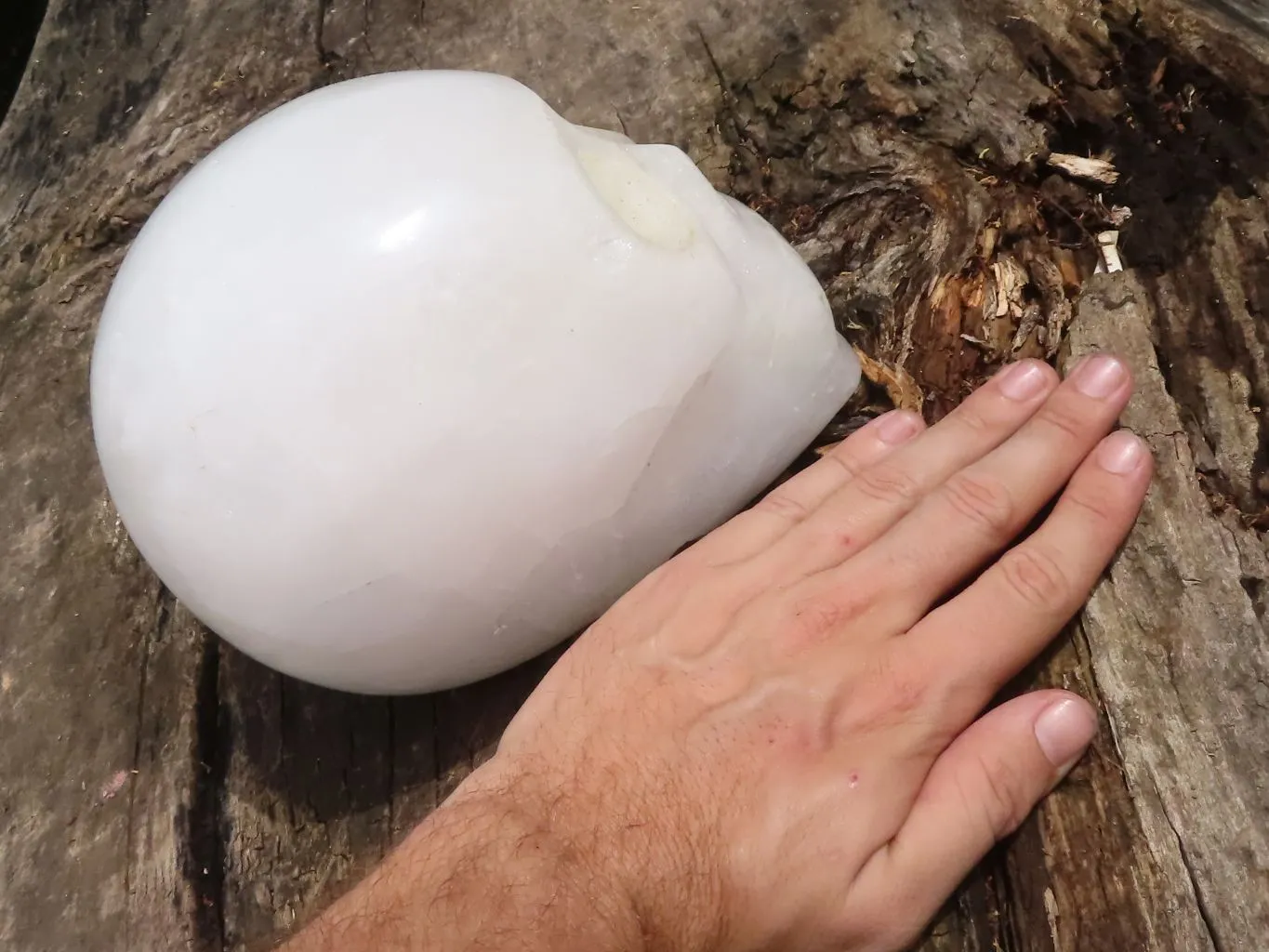 Polished Hand Carved Quartz Crystal Skull x 1 From Madagascar