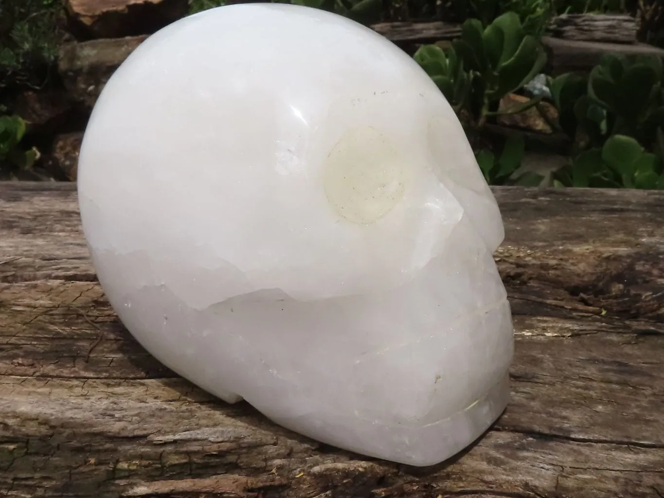 Polished Hand Carved Quartz Crystal Skull x 1 From Madagascar