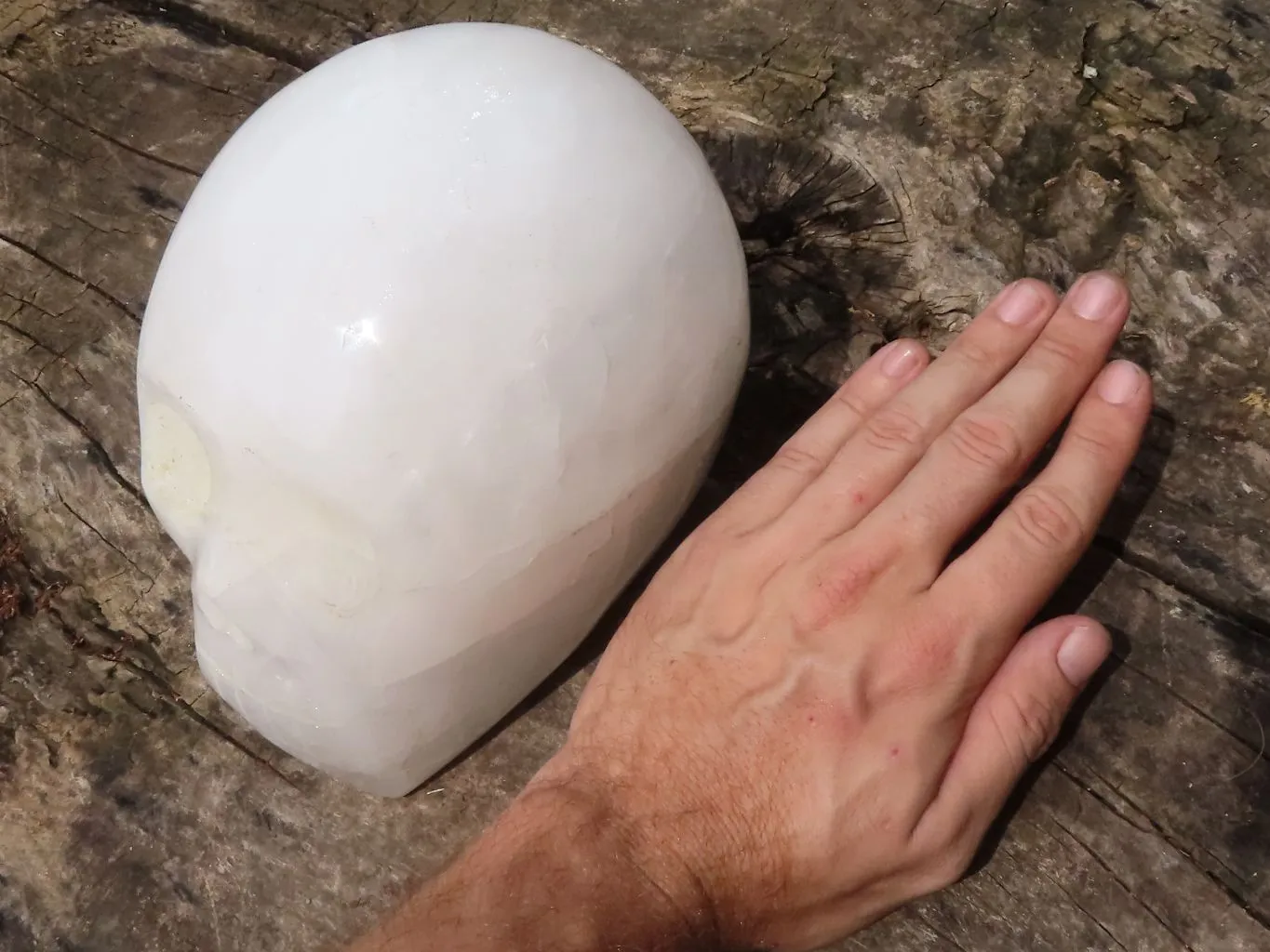 Polished Hand Carved Quartz Crystal Skull x 1 From Madagascar
