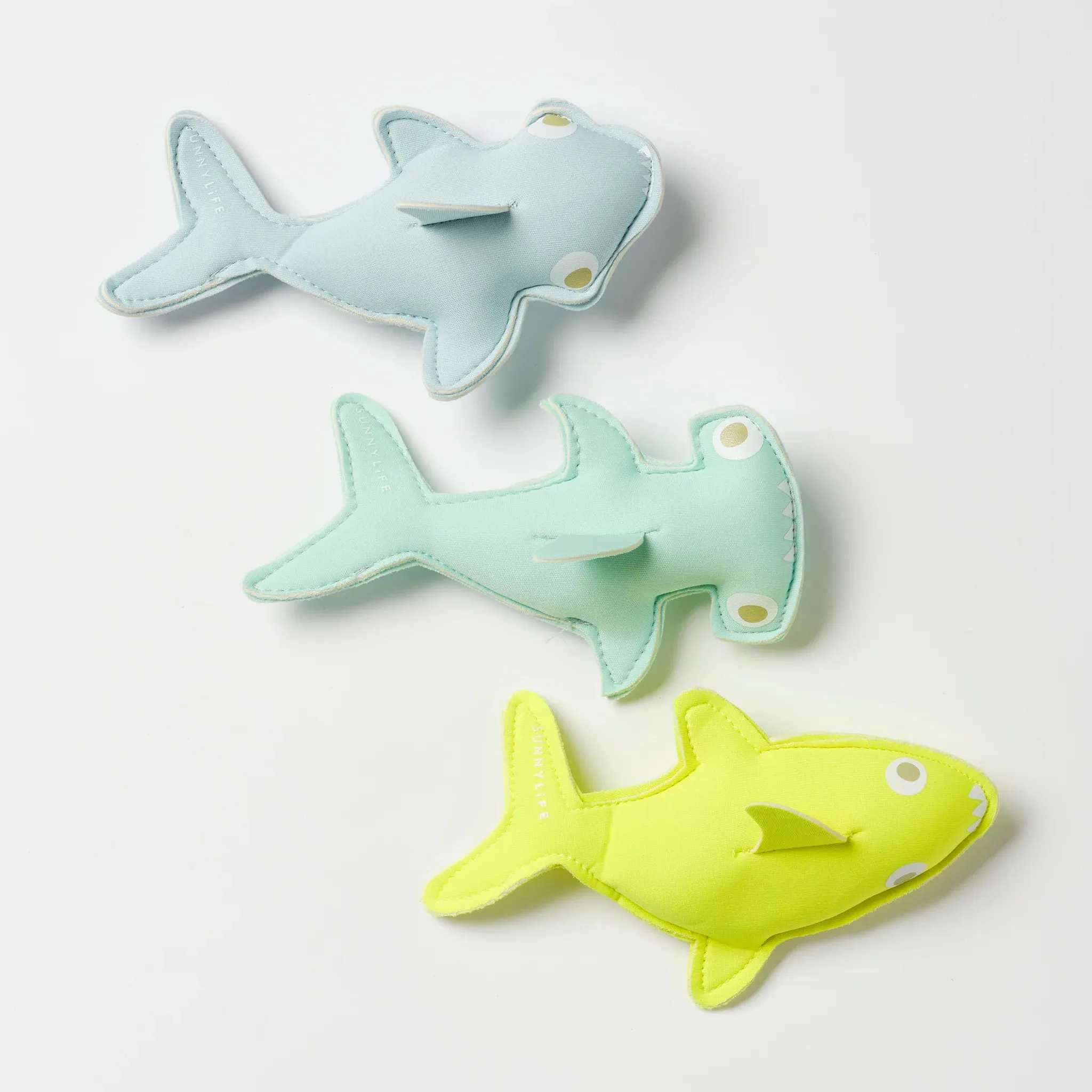 Salty The Shark Dive Buddies