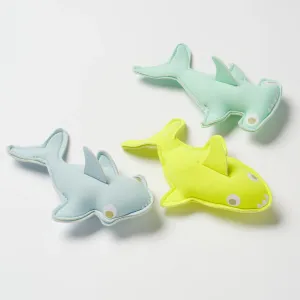 Salty The Shark Dive Buddies