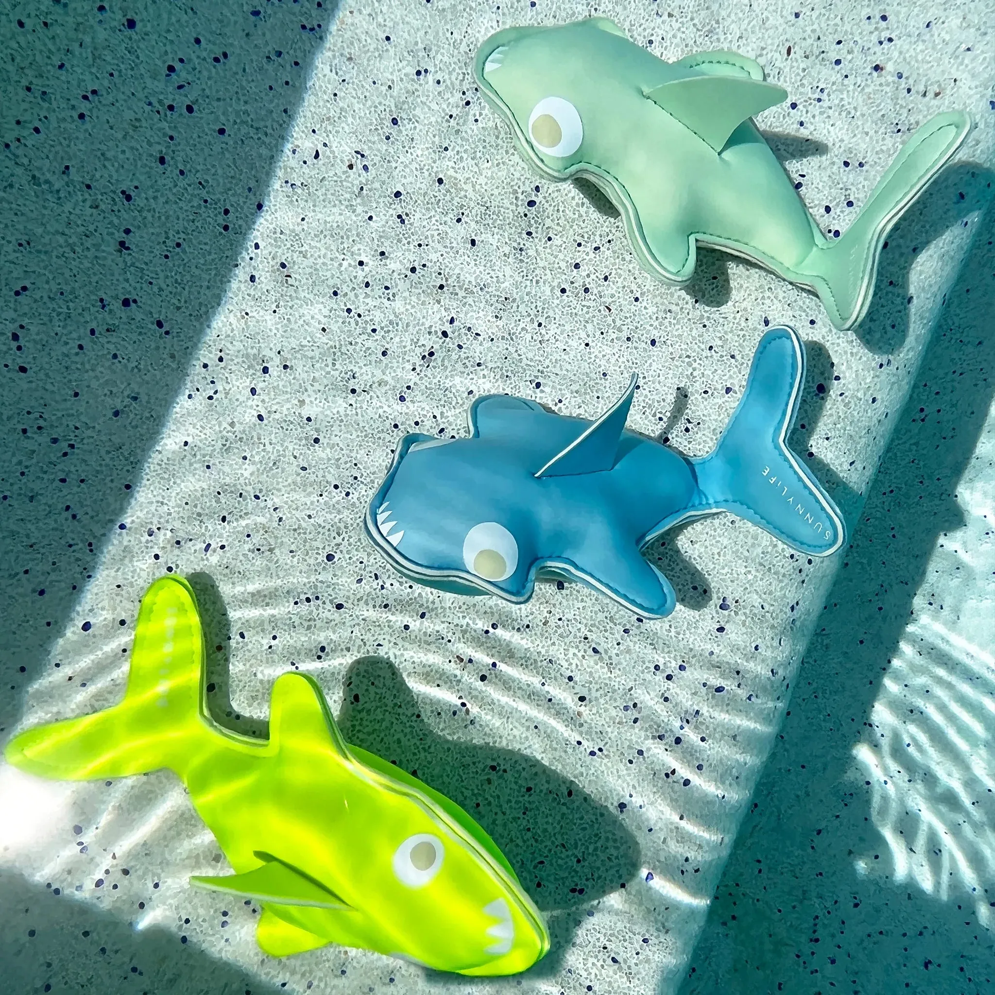 Salty The Shark Dive Buddies