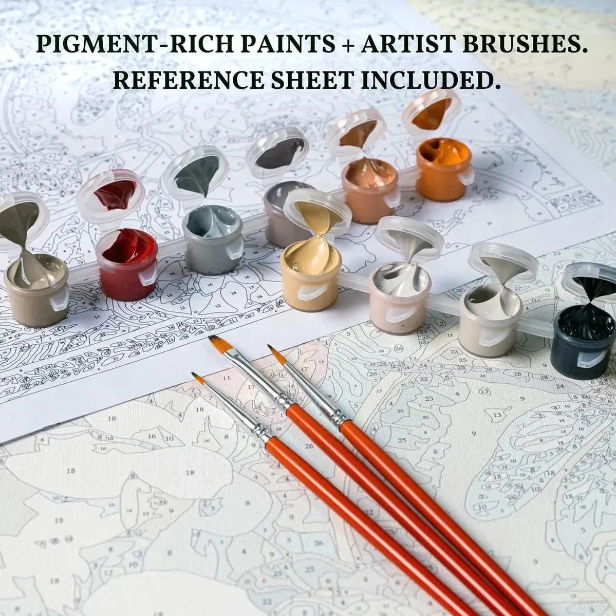St Bernard Painting: Dog Paint by Numbers Kit