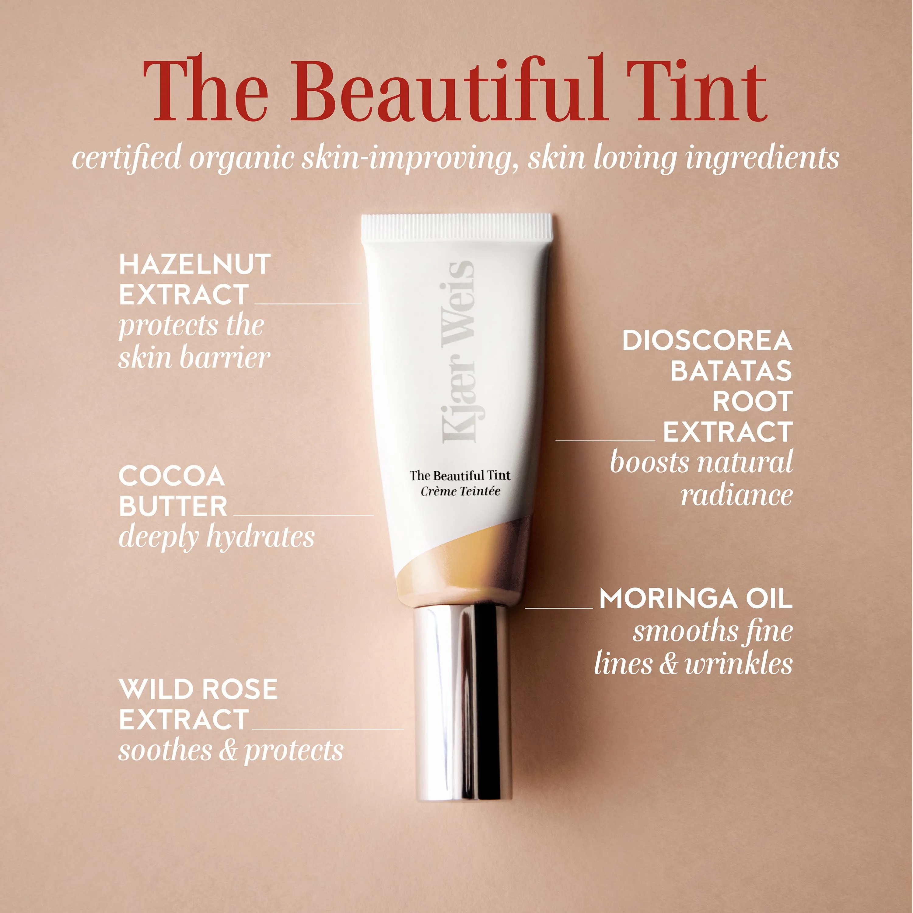 The Beautiful Tint--Fair 3